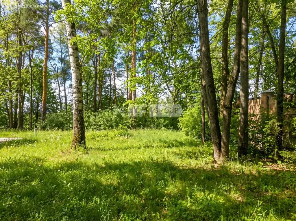 Участок в деревня Барвиха, ДПК Новь (18 м) - Фото 2