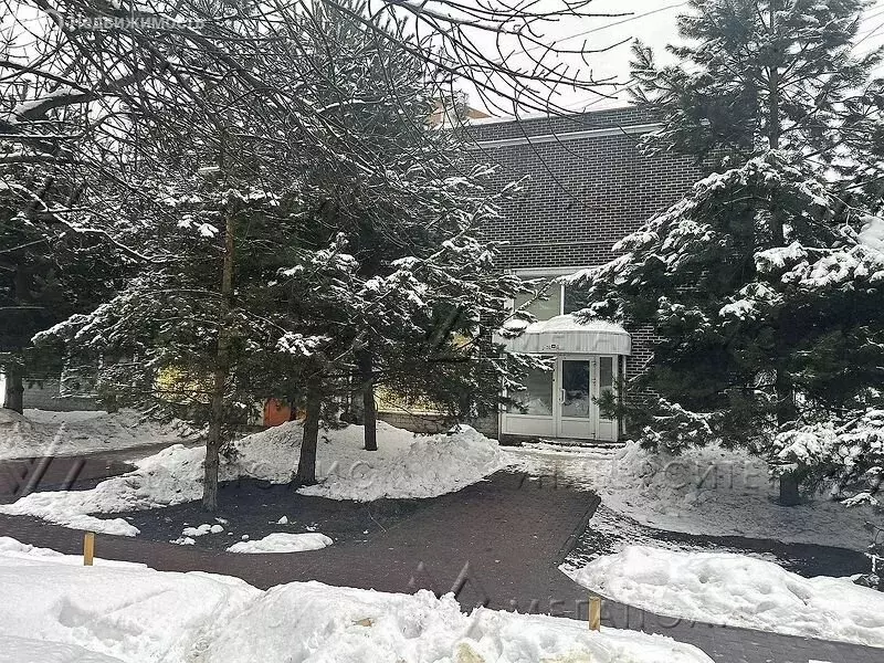 Помещение свободного назначения (235 м) - Фото 1