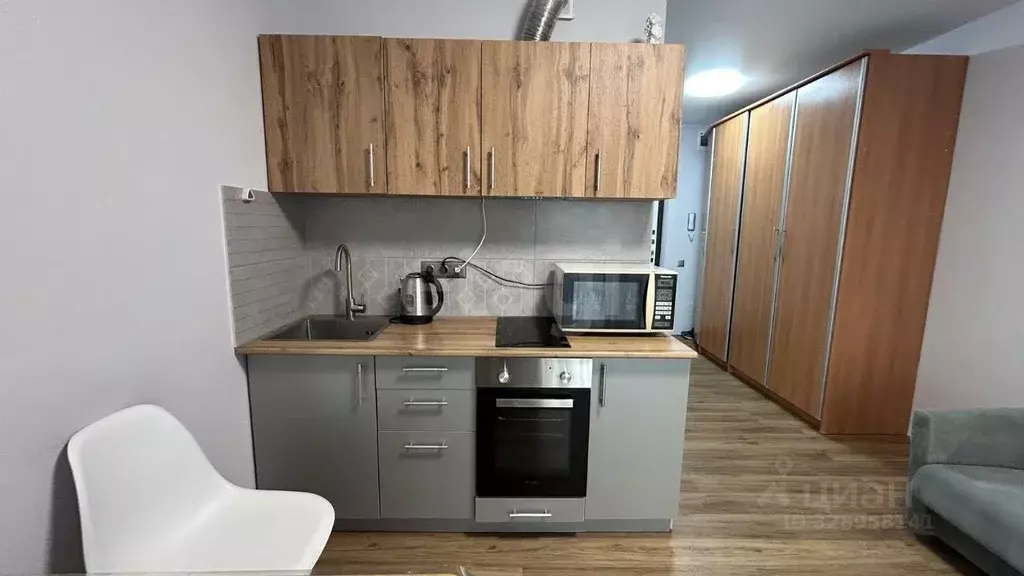 Студия Тюменская область, Тюменский муниципальный округ, д. Патрушева ... - Фото 1