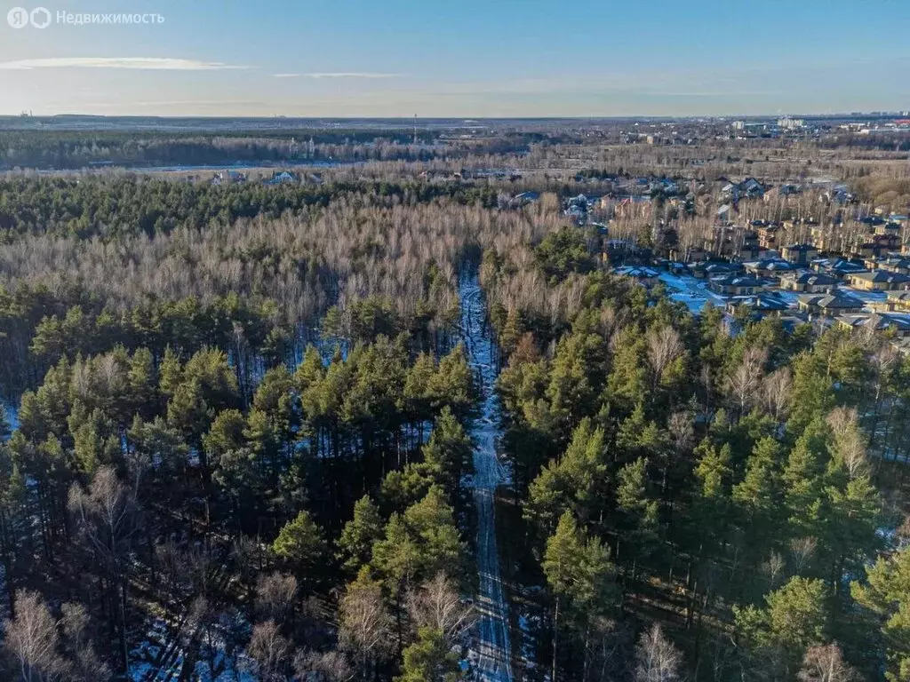 Участок в Богородский городской округ (11.5 м) - Фото 2