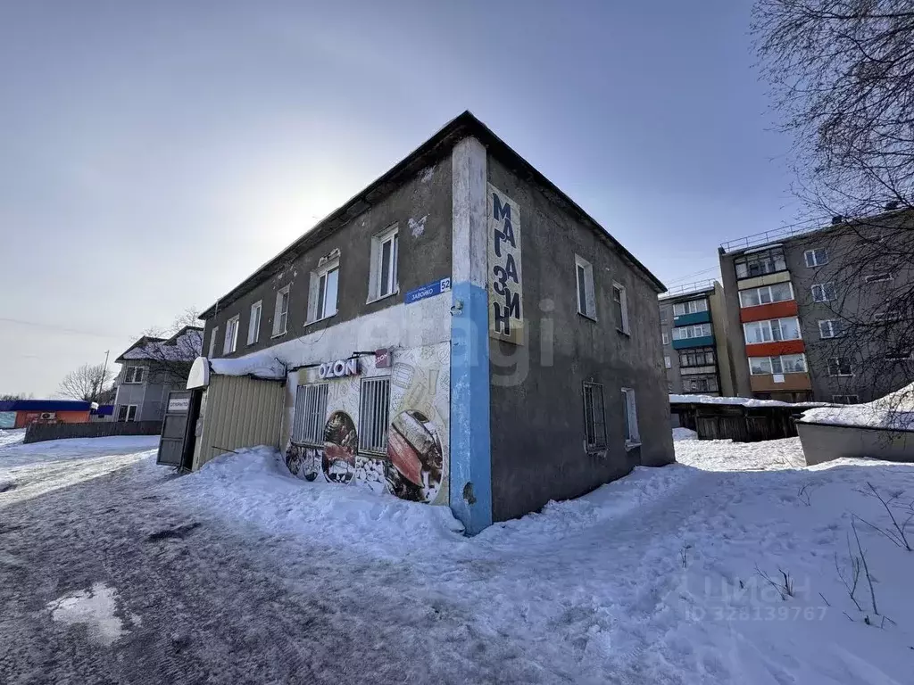 Помещение свободного назначения в Камчатский край, Елизово ул. ... - Фото 2