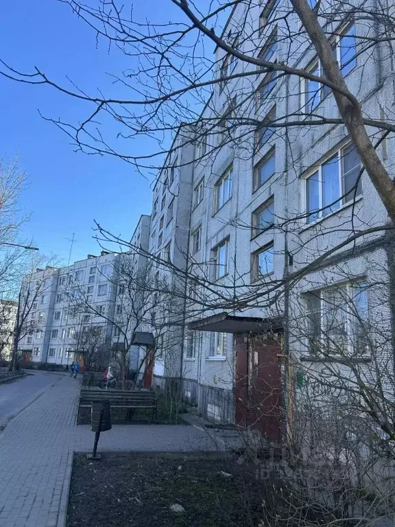 2-к кв. Ленинградская область, Гатчинский муниципальный округ, ... - Фото 2