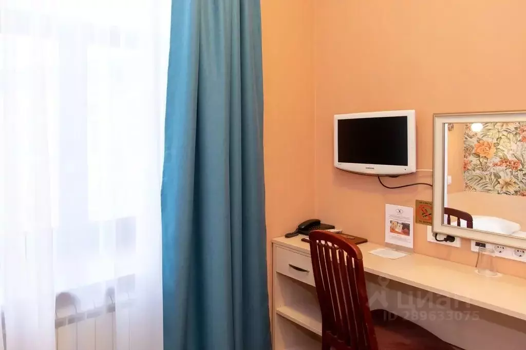 Комната Санкт-Петербург наб. Канала Грибоедова, 35 - Фото 2