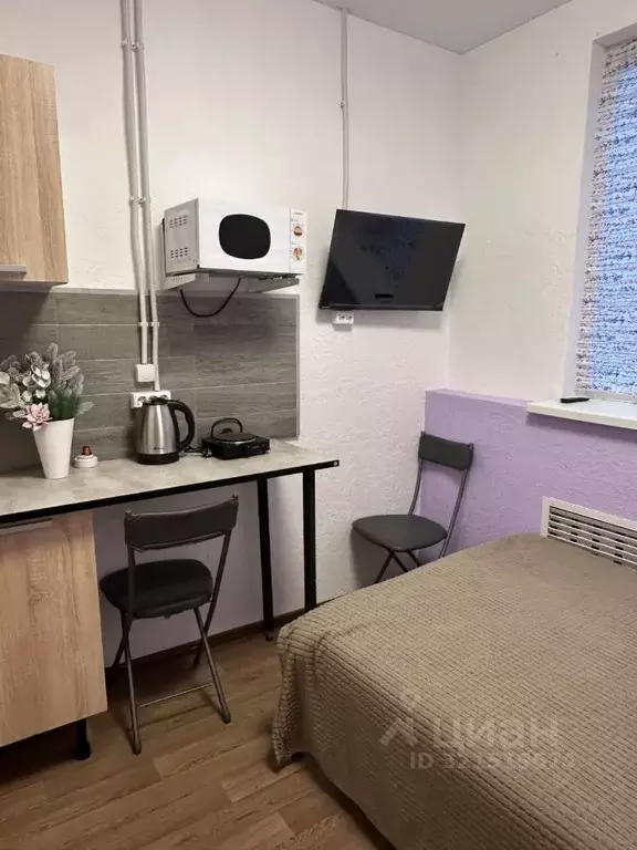 Студия Московская область, Раменское пос. Красный Октябрь, 23 (21.0 м) - Фото 2