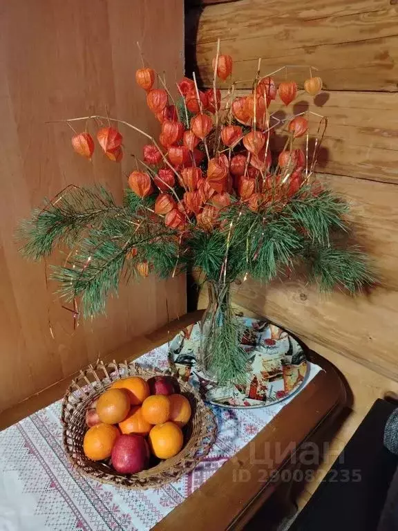 Дом в Псковская область, Невельский муниципальный округ, д. Опухлики  ... - Фото 1