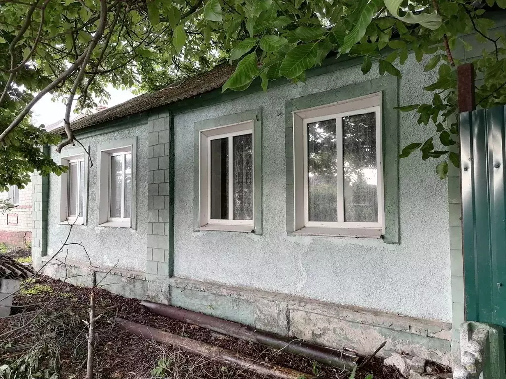 Дом в Белгородская область, Яковлевский муниципальный округ, Томаровка ... - Фото 0