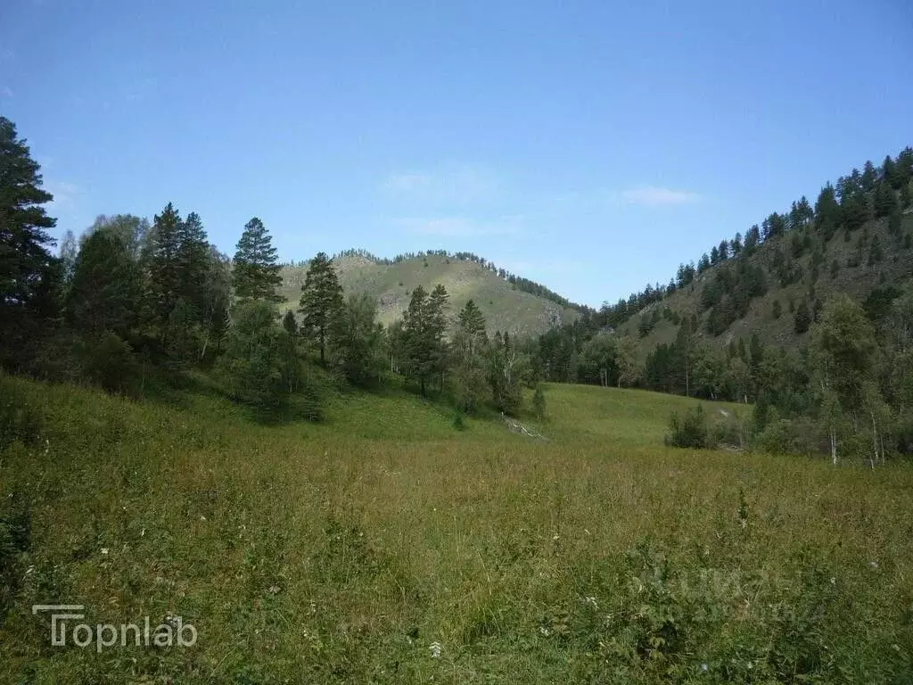 Производственное помещение в Алтай, Чемальский район, с. Чемал ул. ... - Фото 1