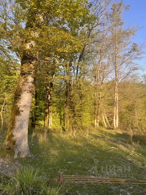 Участок в Краснодарский край, Сочи городской округ, с. ... - Фото 1