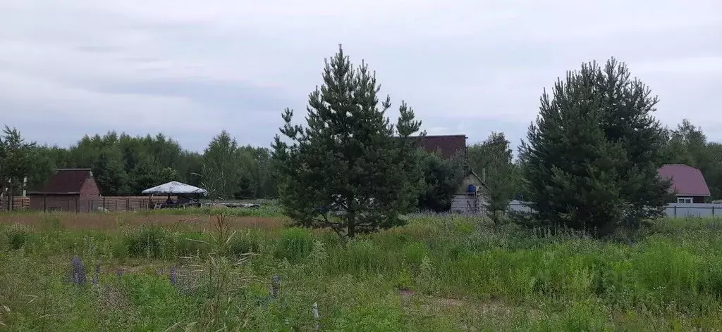 Участок в Владимирская область, Камешковский район, Второвское ... - Фото 1