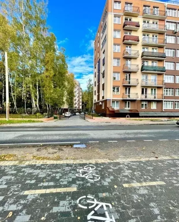 Помещение свободного назначения в Калининградская область, Светлогорск ... - Фото 1