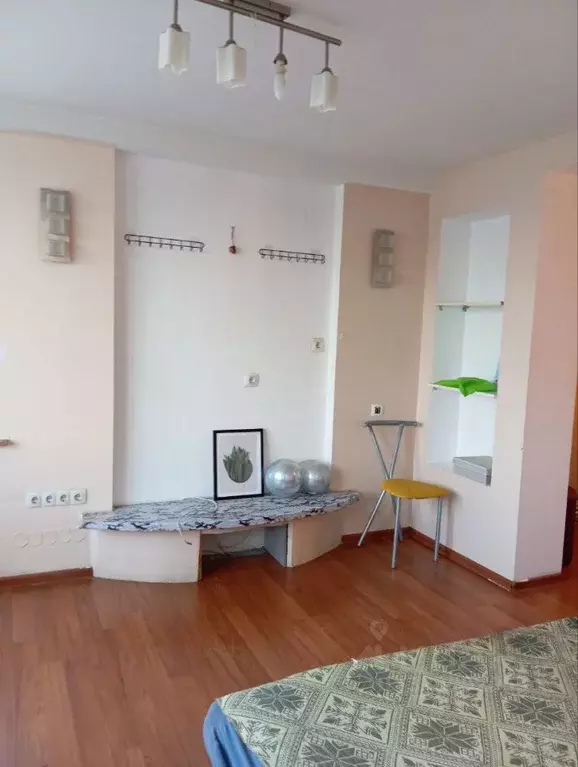 1-к кв. Санкт-Петербург просп. Энергетиков, 54К2 (30.0 м) - Фото 2