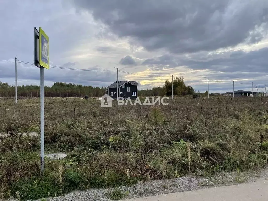 Участок в Нижегородская область, Нижний Новгород с. Елховка, ул. ... - Фото 2