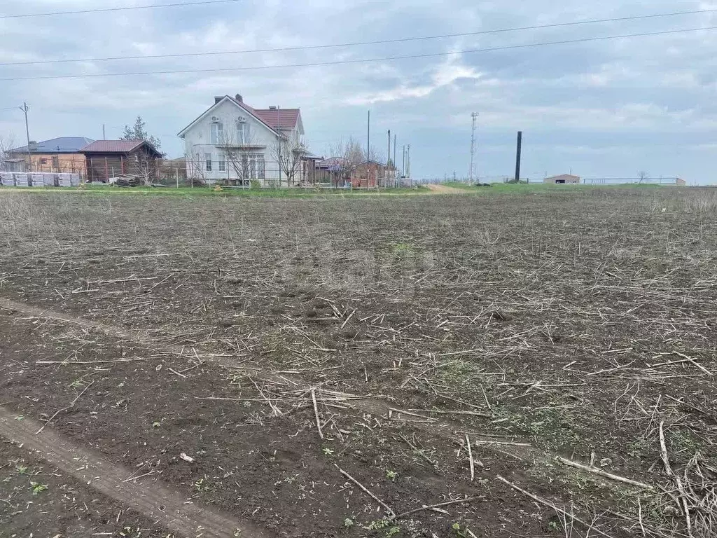 Участок в Ростовская область, Мясниковский район, с. Большие Салы ул. ... - Фото 2