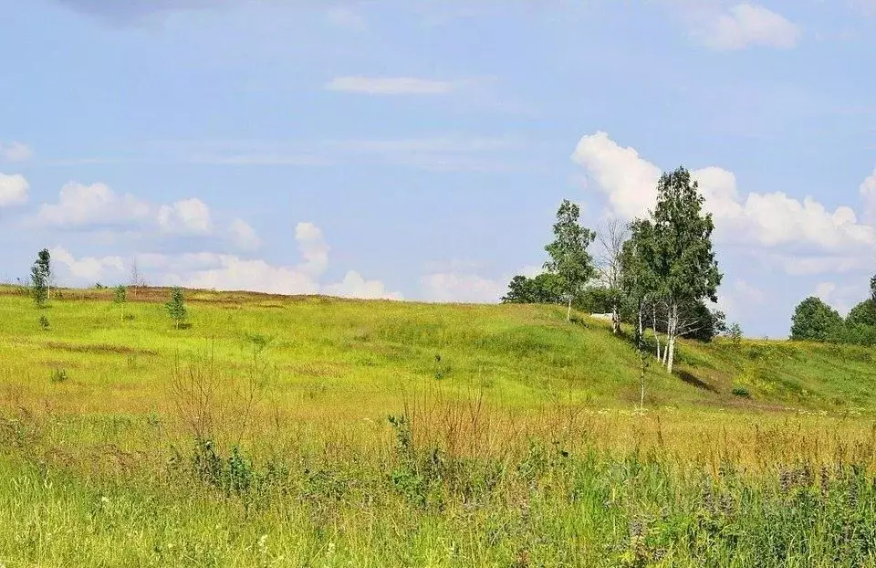 Участок в Московская область, Клин городской округ, д. Коськово  (9.6 ... - Фото 1