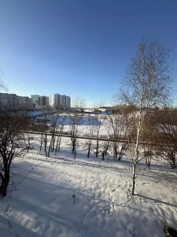 3-к кв. Татарстан, Набережные Челны пос. ЗЯБ, 17А комплекс, 22 (65.4 ... - Фото 1