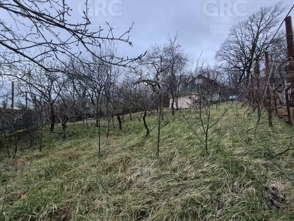 Участок в Краснодарский край, Сочи городской округ, с. Прогресс ул. ... - Фото 2