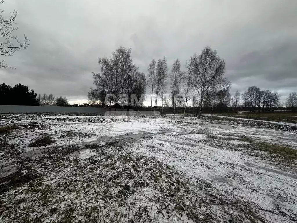 Участок в Московская область, Дмитровский муниципальный округ, д. ... - Фото 1