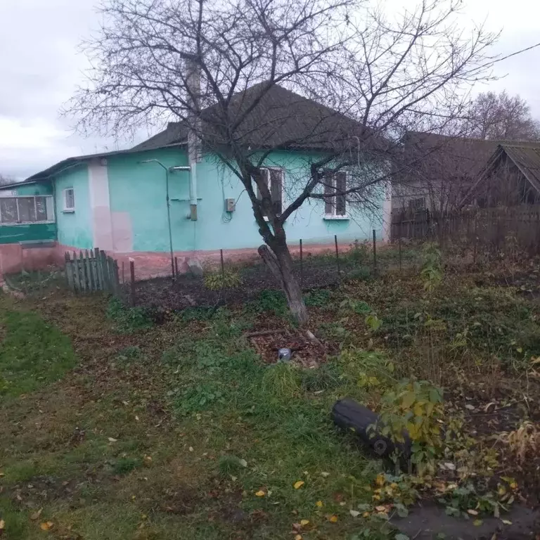 Дом в Курская область, Тимский район, Барковский сельсовет, с. Соколье ... - Фото 1