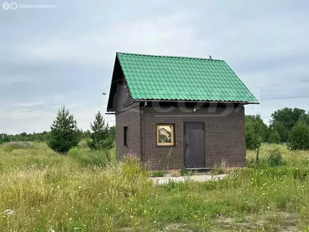 Дом в Ялуторовский район, село Сингуль Татарский (16 м) - Фото 1