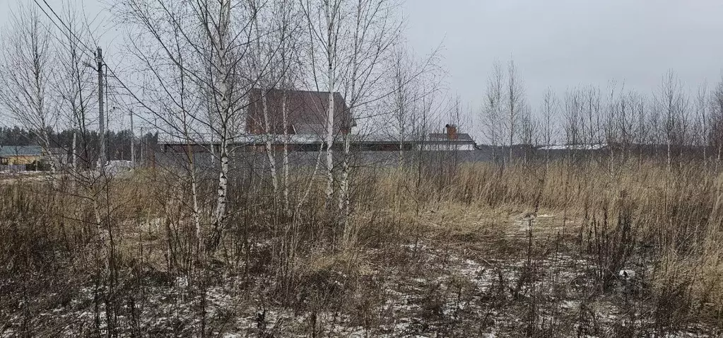 Участок в Московская область, Луховицы муниципальный округ, пос. ... - Фото 1