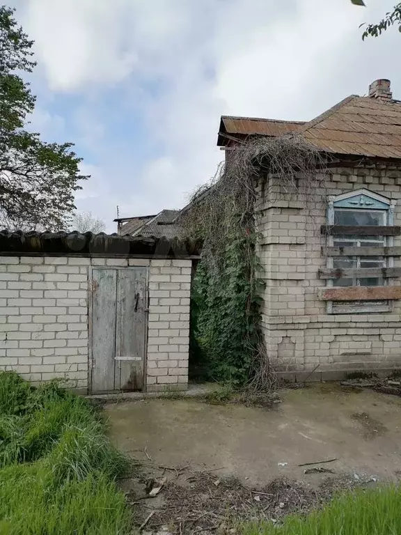 Дом 54,8 м на участке 15 сот. - Фото 1