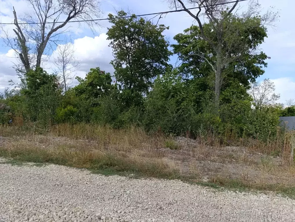 Участок в Саратовская область, Саратов проезд 7-й Назаровский, 59 (6.0 ... - Фото 2