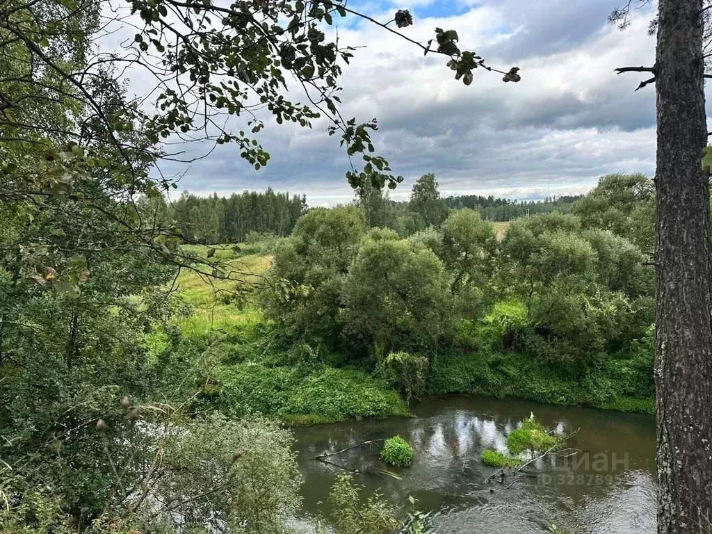 Участок в Московская область, Щелково городской округ, д. Каблуково  ... - Фото 1