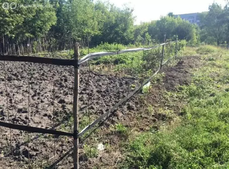 Участок в Ульяновск, СНТ Вырыпаевка (6 м) - Фото 2