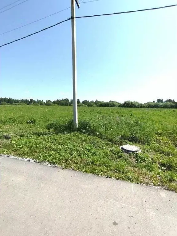 Участок в Новосибирская область, Новосибирский район, Кудряшовский ... - Фото 0