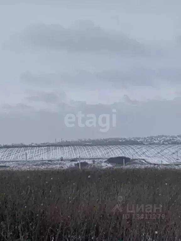 Участок в Белгородская область, Белгородский район, Головинское с/пос, ... - Фото 0