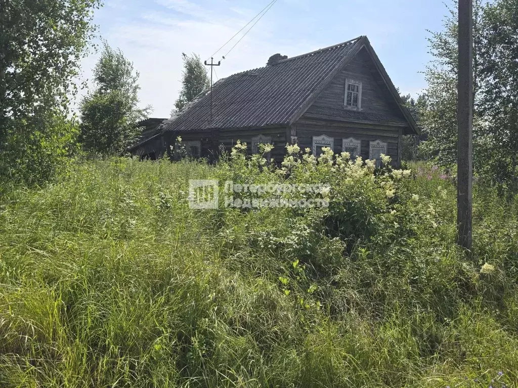 Участок в Карелия, Олонецкий район, Мегрегское с/пос, д. Обжа 52 (35.0 ... - Фото 1