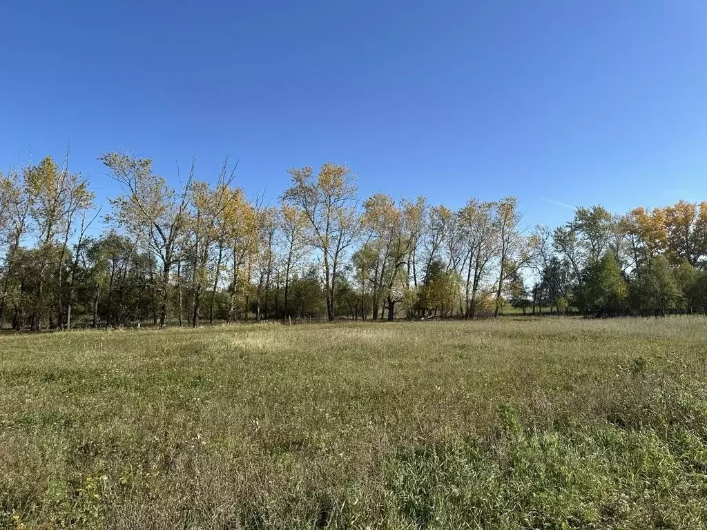 Участок в Московская область, Серебряные Пруды пгт ул. Октябрьская ... - Фото 1