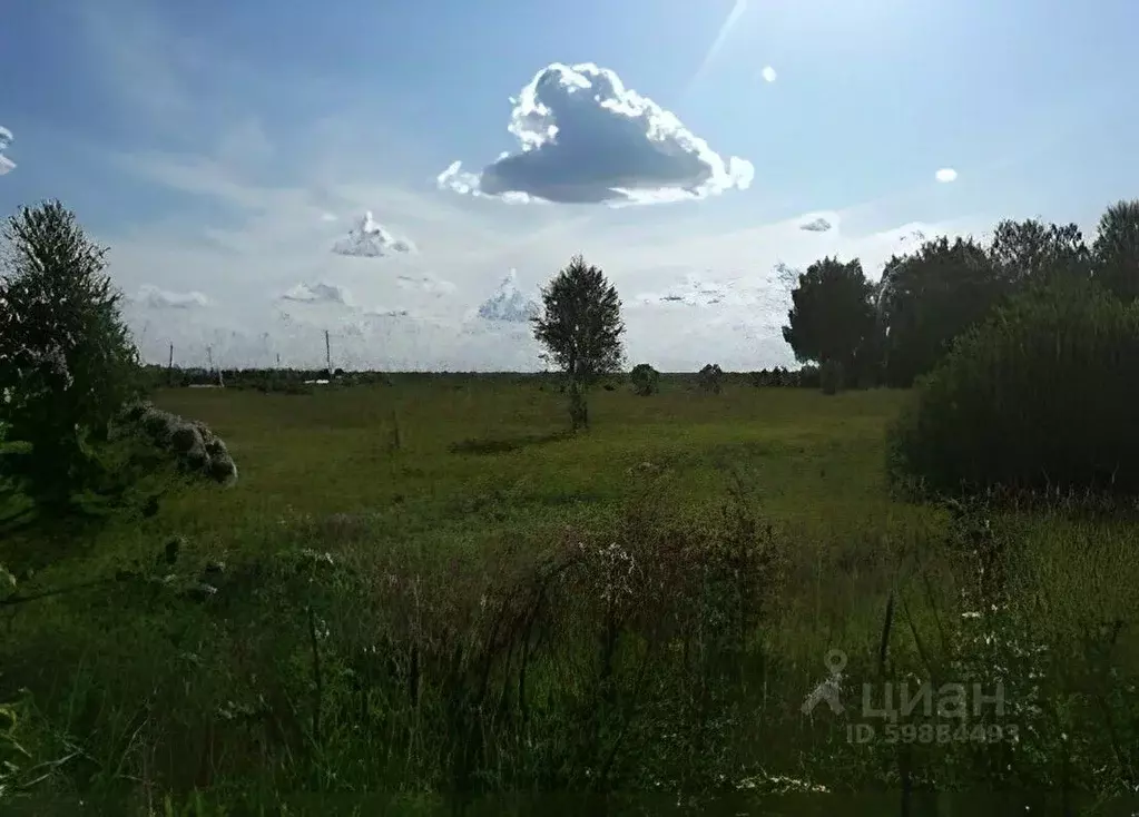 Участок в Тульская область, Ясногорский район, Иваньковское ... - Фото 0