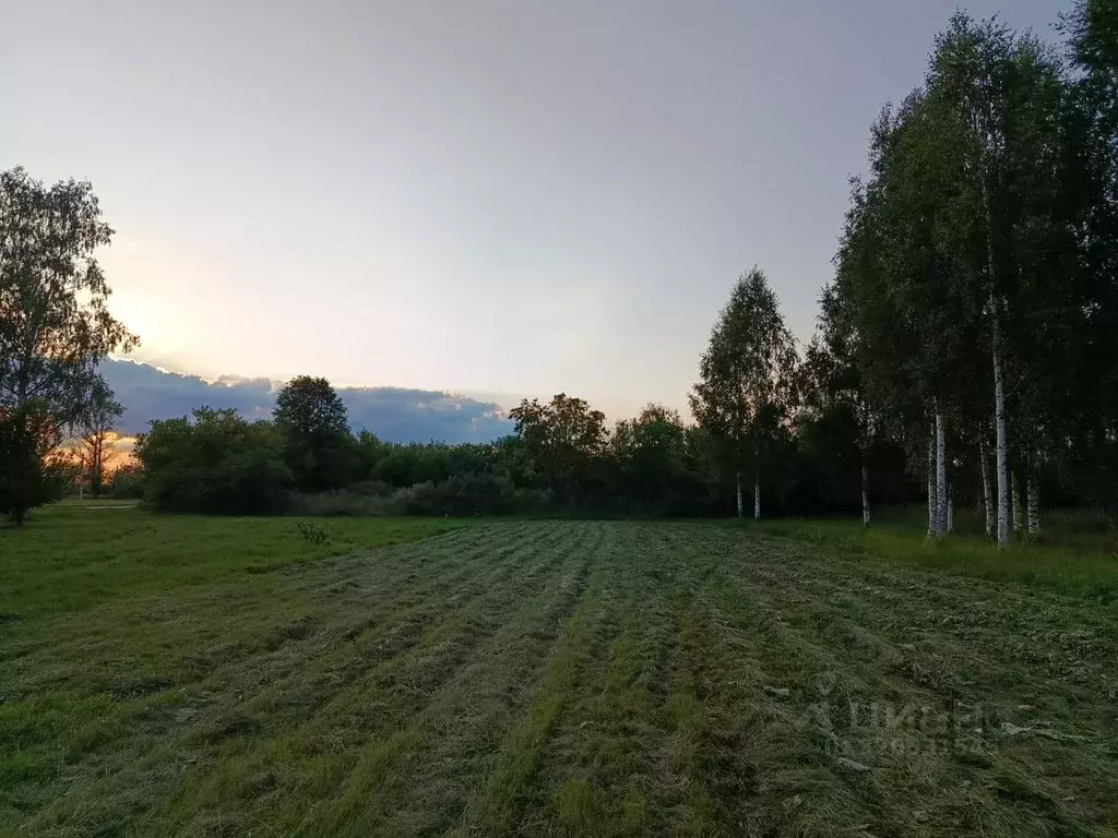 Участок в Рязанская область, Клепиковский район, Алексеевское с/пос, ... - Фото 1