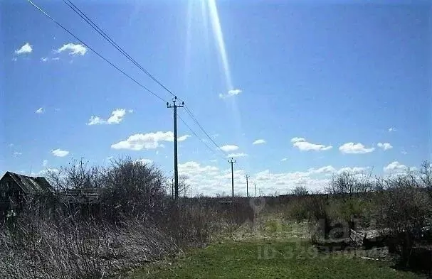 Участок в Ленинградская область, Кингисеппский район, Большелуцкое ... - Фото 1