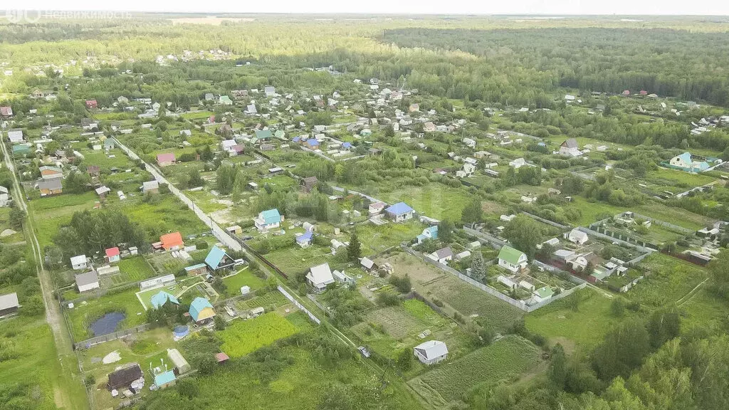 Участок в Тюменский район, СНТ Нива, Грибная улица (7.8 м) - Фото 1