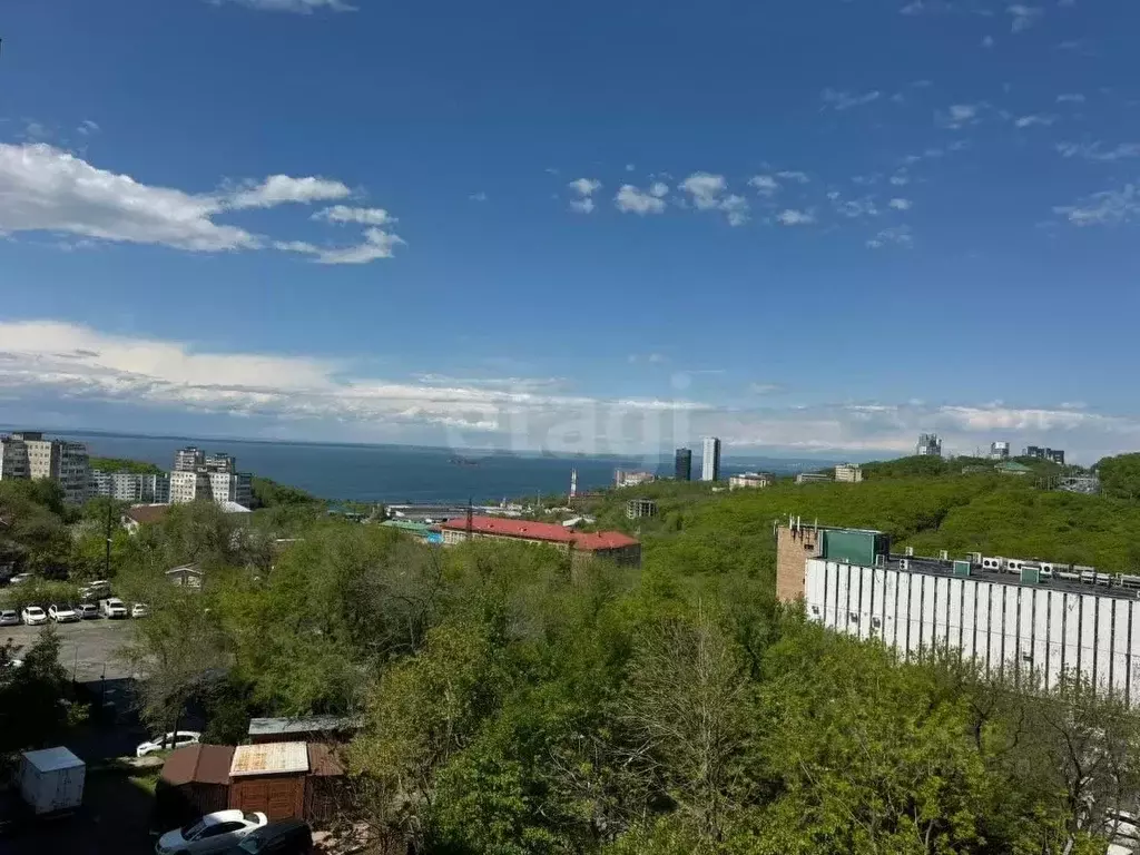 Студия Приморский край, Владивосток ул. Чапаева, 16 (23.2 м) - Фото 0