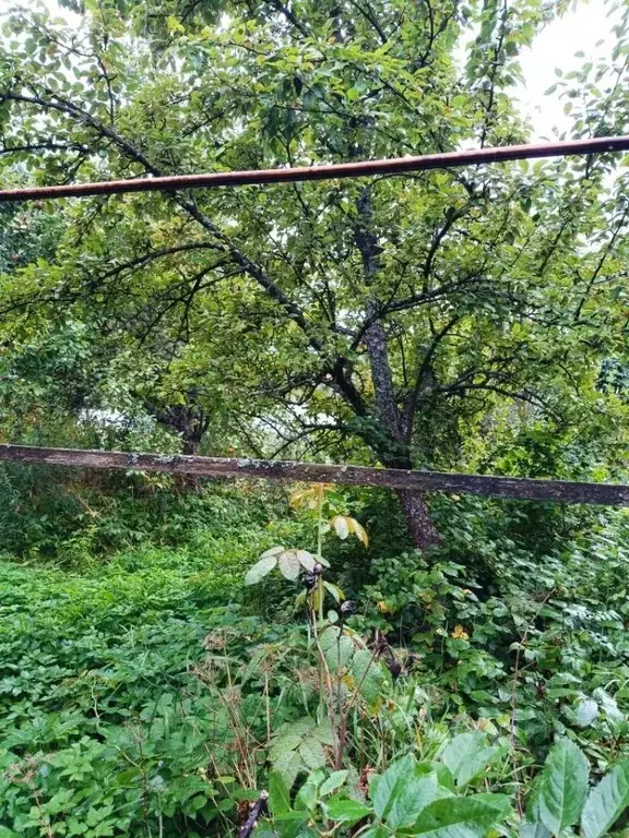 Участок в Нижегородская область, Нижний Новгород Заветы Мичурина Сад № ... - Фото 2