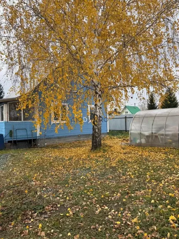 Дом в Башкортостан, Уфа Ромашка СНТ, 437А (65 м) - Фото 2