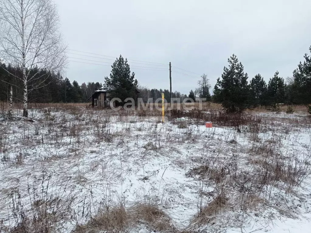 Участок в Владимирская область, Гусь-Хрустальный район, Красное Эхо ... - Фото 0