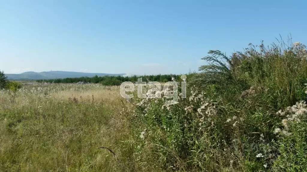 Участок в Свердловская область, Нижний Тагил с. Ольховка,  (10.0 сот.) - Фото 1