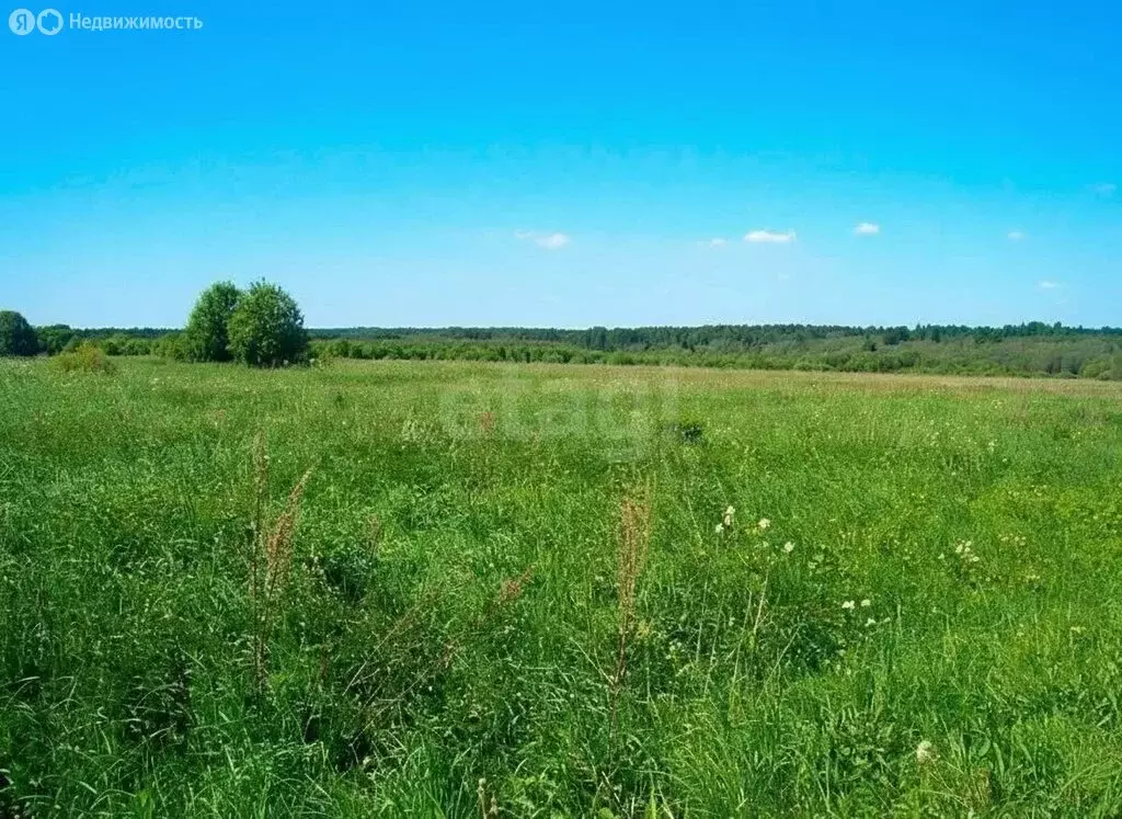 Участок в Вологодская область, Череповецкий муниципальный округ, ... - Фото 2