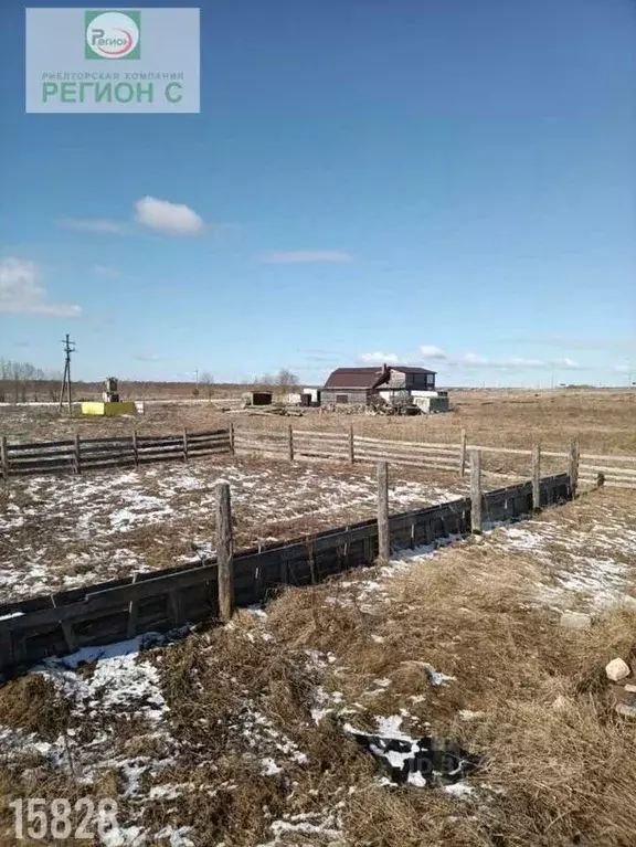 Участок в Архангельская область, Плесецкий муниципальный округ, с. ... - Фото 2