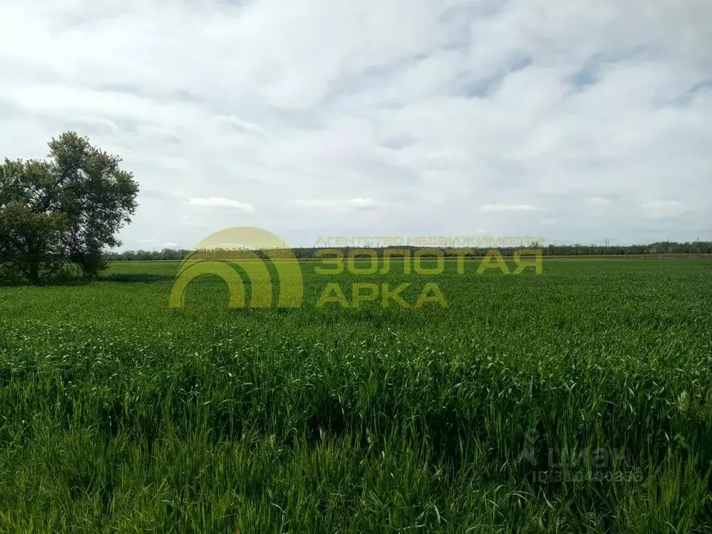 Участок в Краснодарский край, Темрюк Автомобилист садовое ... - Фото 0