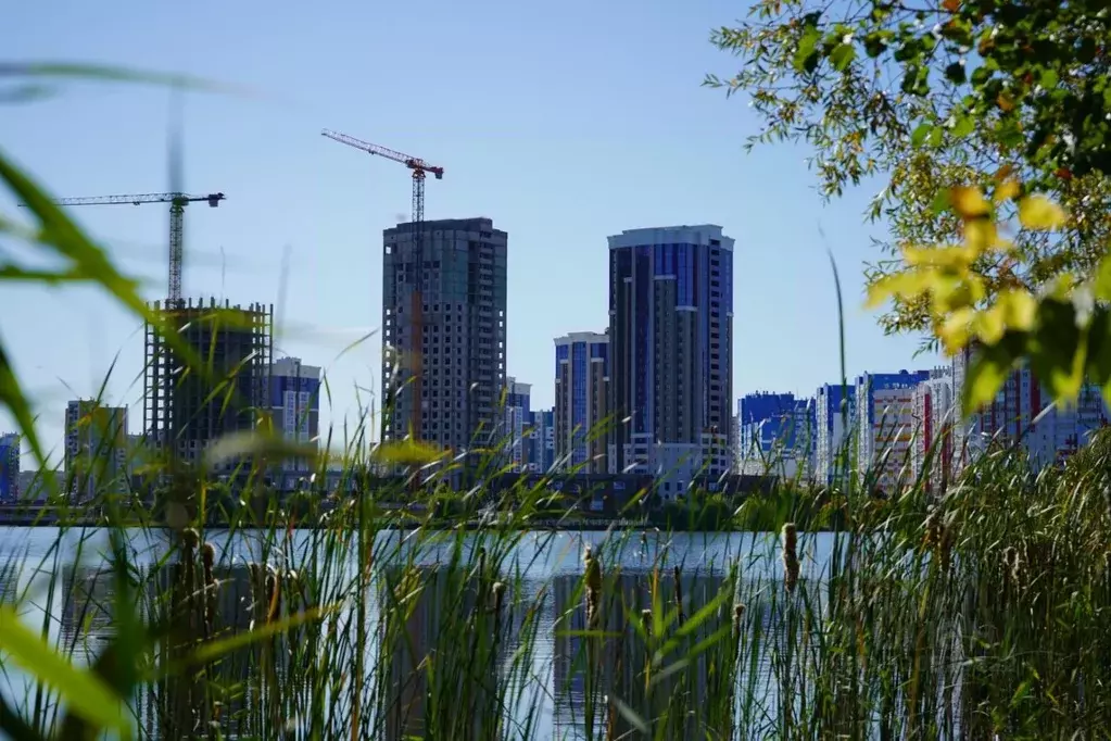 2-к кв. Пензенская область, Пензенский район, Засечный сельсовет, с. ... - Фото 2