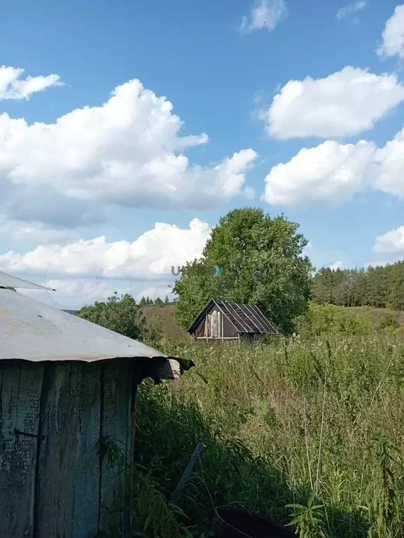 Дом 35 м на участке 25 сот. - Фото 1