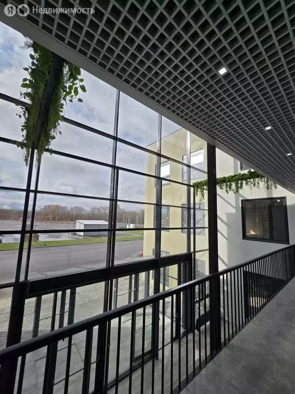 Офис (300 м) - Фото 2