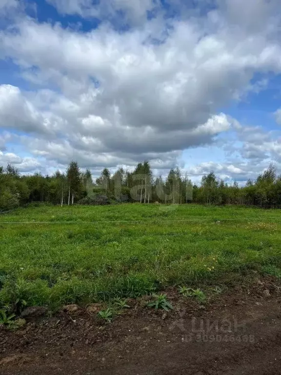 Участок в Тюменская область, Тюменский район, с. Кулига, Кулига-2 мкр  ... - Фото 0