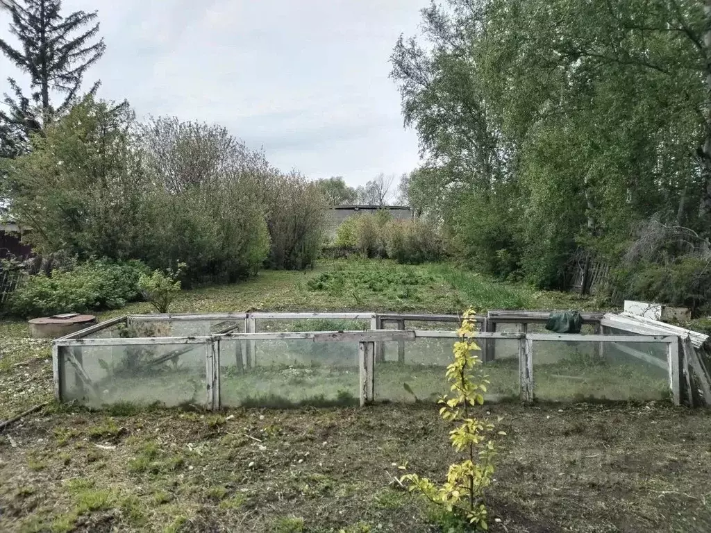 Участок в Омская область, Омск СНТ Любитель-3 ТСН,  (7.6 сот.) - Фото 1