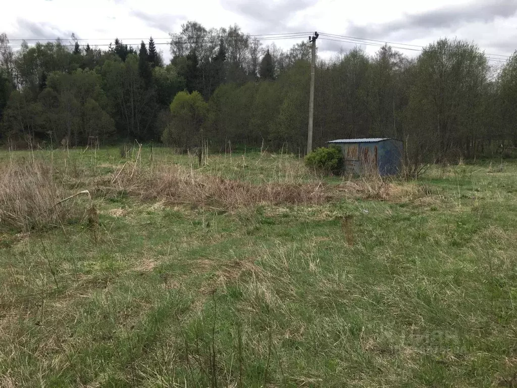 Участок в Московская область, Пушкинский городской округ, д. Раково  ... - Фото 1